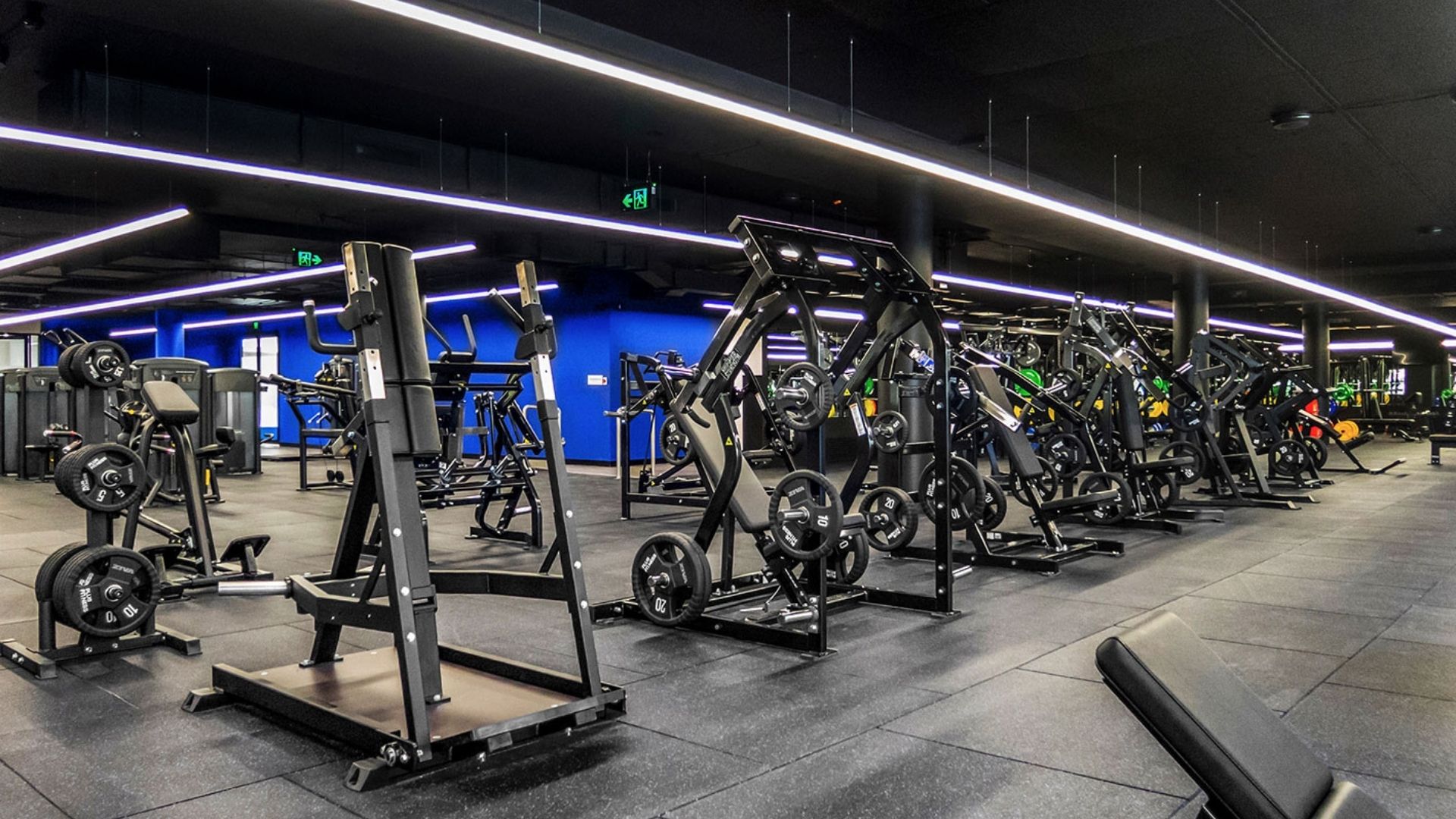 Rows of plate-loaded machines across the training floor with the blue wall behind